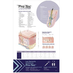 Poster | Pro-Tec Guide | Large